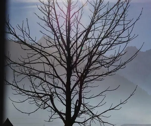 Loetje * ゴーザウ